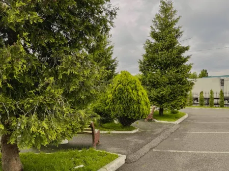 Provintsiya Hotel Отели в г. Пригородный район