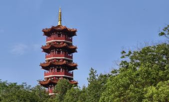 Tongxin Homestay (Xinxin Road)