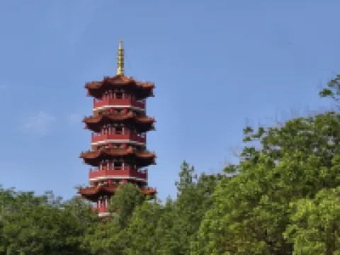 Tongxin Homestay (Xinxin Road)