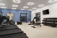 Hampton Inn & Suites by Hilton Amarillo West - Træningscentre