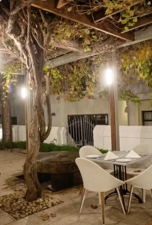 Avemore Eikehoff No 26 Full Power Back up