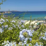Seaside Apartment Baja Sardinia - Rent from June 20, 2026, to July 11, 2026 Hotels in Arzachena