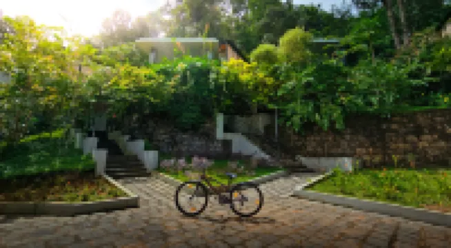 Maram Resort Mamalakandam