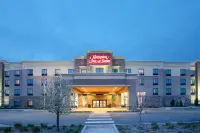 Hampton Inn & Suites Denver/South-RidgeGate Отели в г. Лон Три