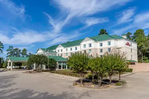 Hilton Garden Inn Houston/The Woodlands Hotels in The Woodlands