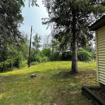 Cute Cabin on Big Pine Lake with a Large Fenced Yard and Lake Access