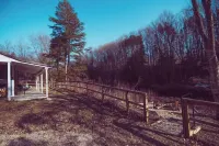 RIVER FRONT-Pet Friendly-Couples-Nature-Firepit
