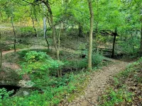 Dog Friendly with Trail Access to Bike Trails, Lakes, Waterfalls, MTB & Golf Hotels in Bella Vista