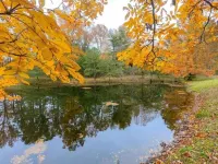Allen Cove Farm