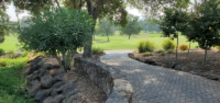 Modern Condo in Gated Silverado Resort Residential Community