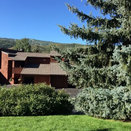 Don't Miss This One! Gorgeous, Upscale Mountain Retreat