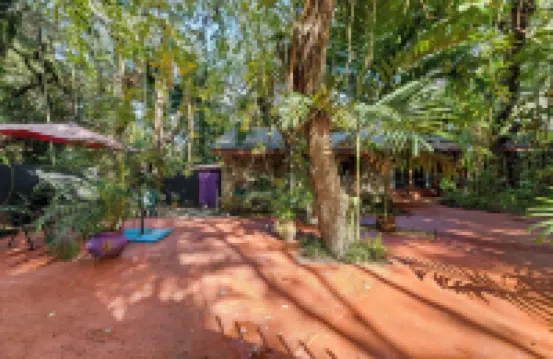 Miami Paradise with Pool Near Haulover Beach and  Aventura Mall.