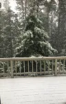 Cozy Peaceful Cabin in the Woods of Mi-Wuk Village.