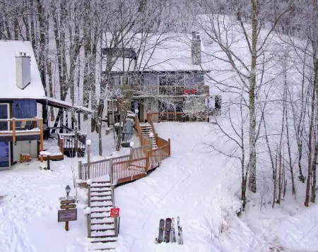 Ski-in ski-out 1 Bdrm Chalet w sauna on slopes & lake - sleeps 2