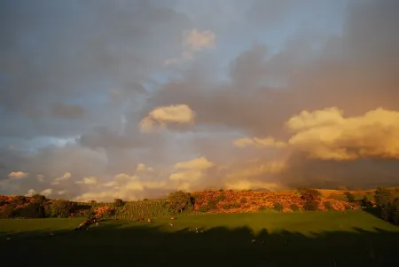 Calf Close Cottage: a rural retreat, dog-friendly, eco-friendly Отели в г. Брамптон