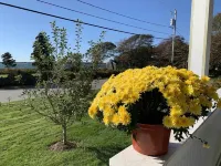 Beautiful 3 bedroom house by the ocean Hotels in Fairhaven
