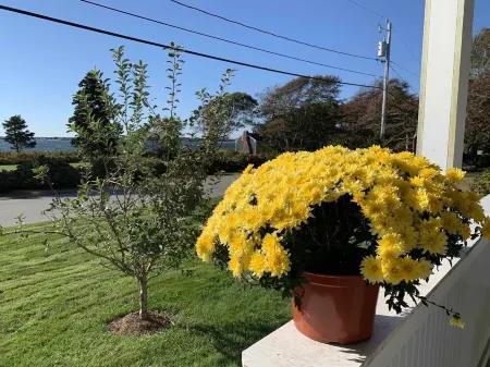 Beautiful 3 bedroom house by the ocean