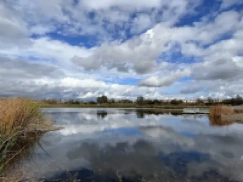 Coastal Vibes • Cal King Bed • Trails Hoteles en Folsom