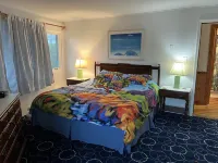Oceanfront All A Round Views - Pet Friendly!
