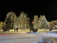 Cozy dome cabin in Blue River forest 7 min to Breck. Pet friendly! On bus route!