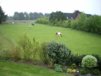 Holiday between North and Baltic Sea in a quiet location on the outskirts of Leck