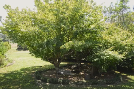 Farm Escape - Spacious Cottage in Kangaroo Valley