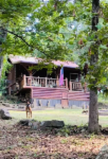 Cabin In The Woods at Lake Tenkiller