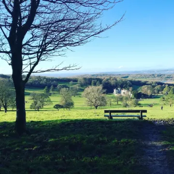 Penny Post Cottage - charming character cottage on the edge of the Lake District Отели рядом с достопримечательностью «Hyning Monastery»