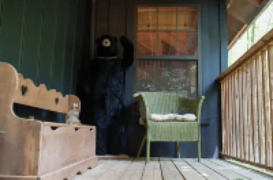 Remote cabin with creek and waterfall views 10 min from town