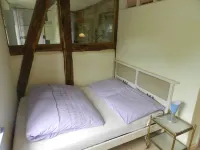 Romantic located, historic water mill in Silberbachtal