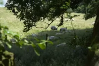 Peaceful and Isolated