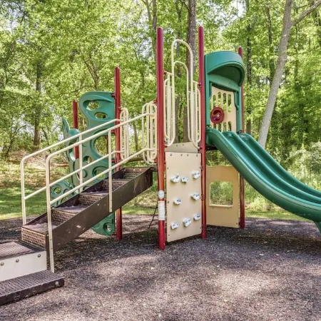 Peak City Perfection- Apex Downtown Walkable, Park Views, Big Yard, Large Groups