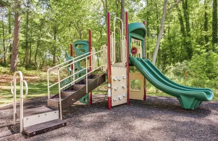 Peak City Perfection- Apex Downtown Walkable, Park Views, Big Yard, Large Groups