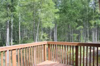 Cozy Bears Den Cabin just off Lake Kokanee
