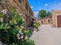 Mascagni farmhouse among the olive trees and the Tuscan hills in the Val d'Orcia Hotels near Monastero di Sant'Anna in Camprena