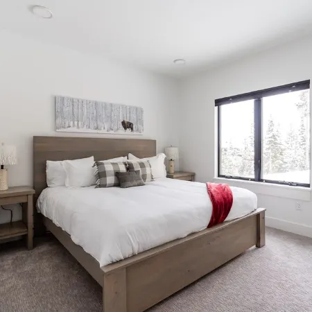 Large luxury ski-in/ski-out chalet style escape