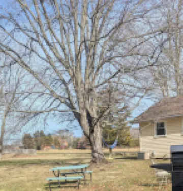 Cozy 2-Bedroom Cottage Mins from Lake Nockamixon and Lake Towhee.