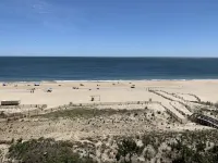 Spectacular Beach and Oceanfront Views in 7th Floor 3 Bedroom Condo! - Beach