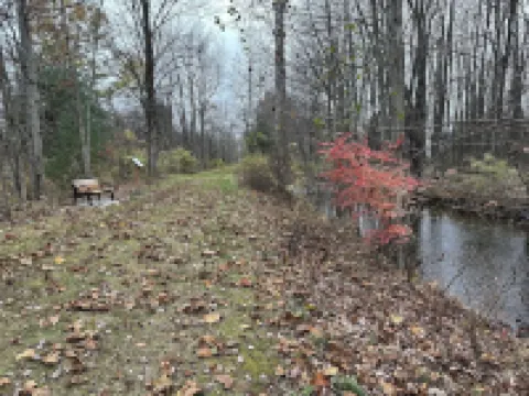 Escape to a Streamside Cabin in the Lower Catskills