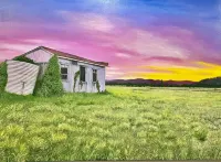 Cabin in the dam paddock, 10 min to the beach. Hotels in Maroochy River