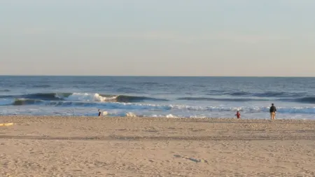 Entire House in Southampton Village, Pool, 2 Fireplaces, Walk Everywhere, Pets!