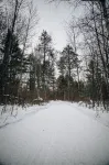 3 bedroom/2 bath house in St. Germain. Heated garage-backs to snowmobile trail!