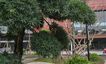Mộc Onsen Homestay Ecopark