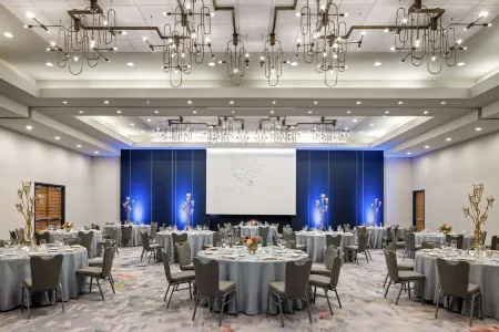 The Lofton Hotel Minneapolis, Tapestry Collection by Hilton