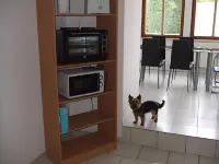 Hostel Vorharz Ermsleben Hotels in Falkenstein