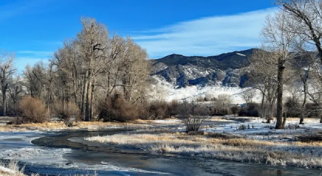 Pioneer Mountain Cabins - Cabin 1