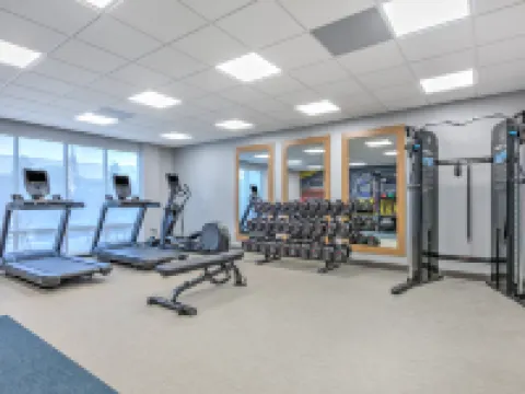 Hampton Inn & Suites by Hilton Shenandoah the Woodlands Hotels in Shenandoah