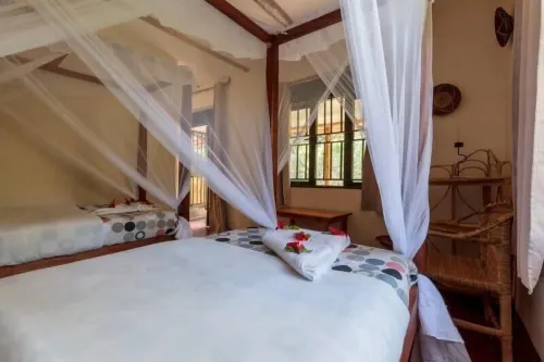 Gorilla Valley Lodge - Wifi