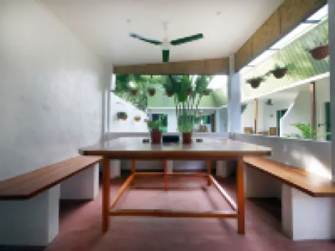 アロナ ゲッコー イン