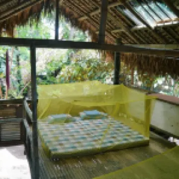 Dream-Big Eco Hostel Hotels in 